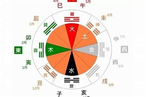 壬寅 五行|壬寅五行属什么